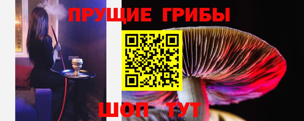 Галлюциногенные грибы Psilocybine cubensis  Вход с VPN  Галлюциногенные грибы Psilocybe  Уварово 